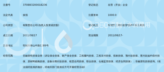 鄒城市潤(rùn)通非融資性擔(dān)保及其業(yè)務(wù)解析