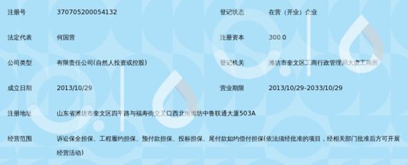 濰坊浩博非融資性擔(dān)保 專業(yè)從事非融資性擔(dān)保服務(wù)