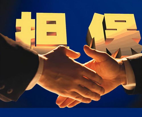 泰安弘澤擔(dān)保 勇做服務(wù)實(shí)體經(jīng)濟(jì)主力軍，破解小微三農(nóng)融資難題